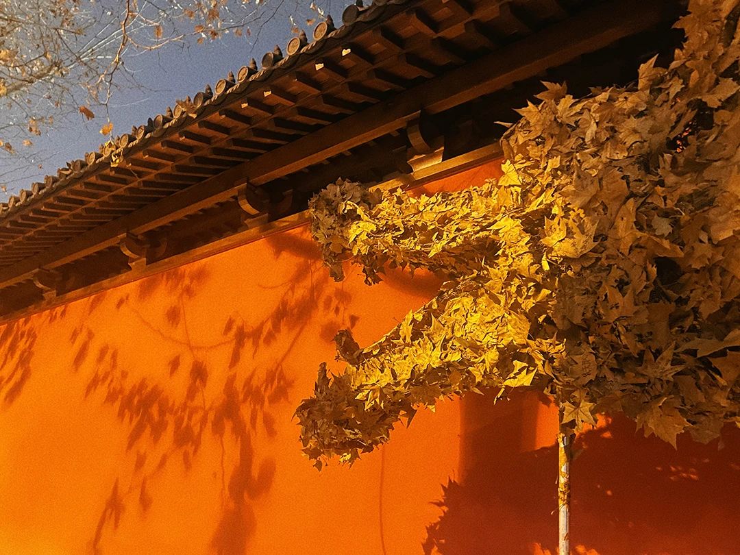 微信圖片_20240720134145.jpg 微信圖片_20240720134145.jpg