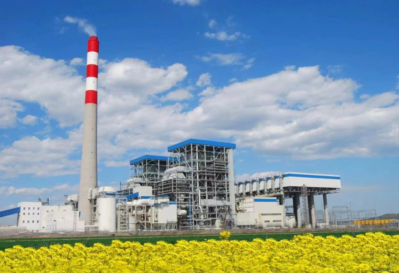 微信圖片_20241115142535.jpg 微信圖片_20241115142535.jpg